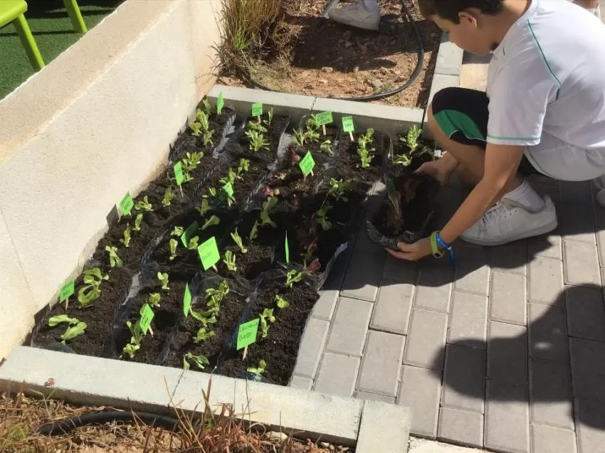 1.600 alumnos de Alicante y Murcia reivindican una dieta saludable para lograr un planeta más sostenible