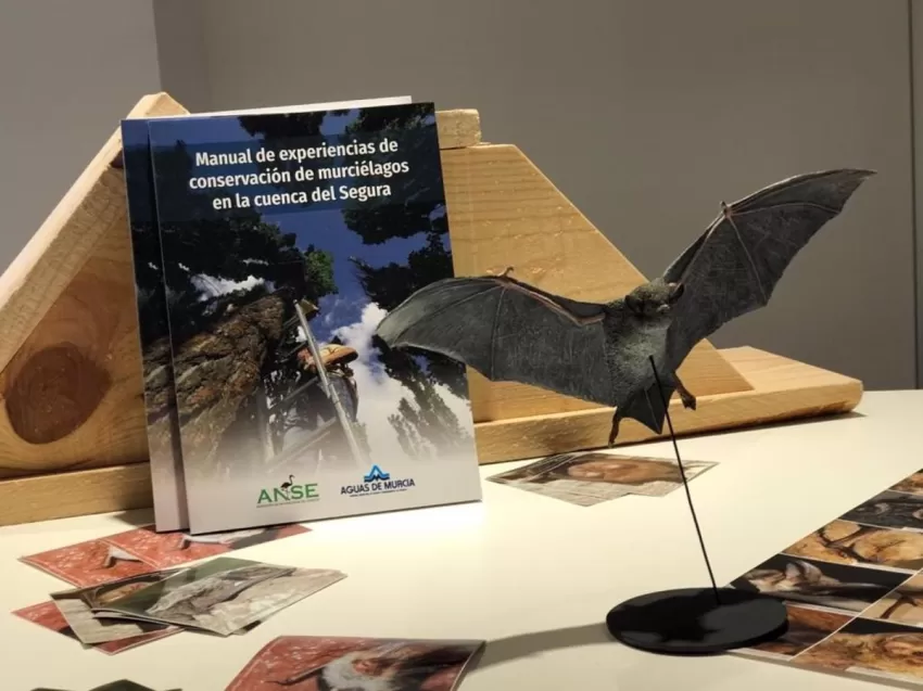 Aguas de Murcia y ANSE publican un manual de conservación de murciélagos