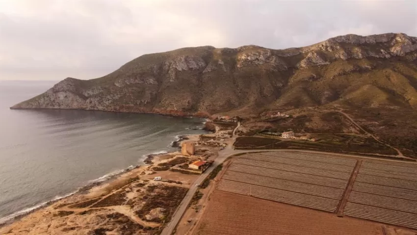 ANSE presenta recurso judicial por el retracto de Cabo Cope