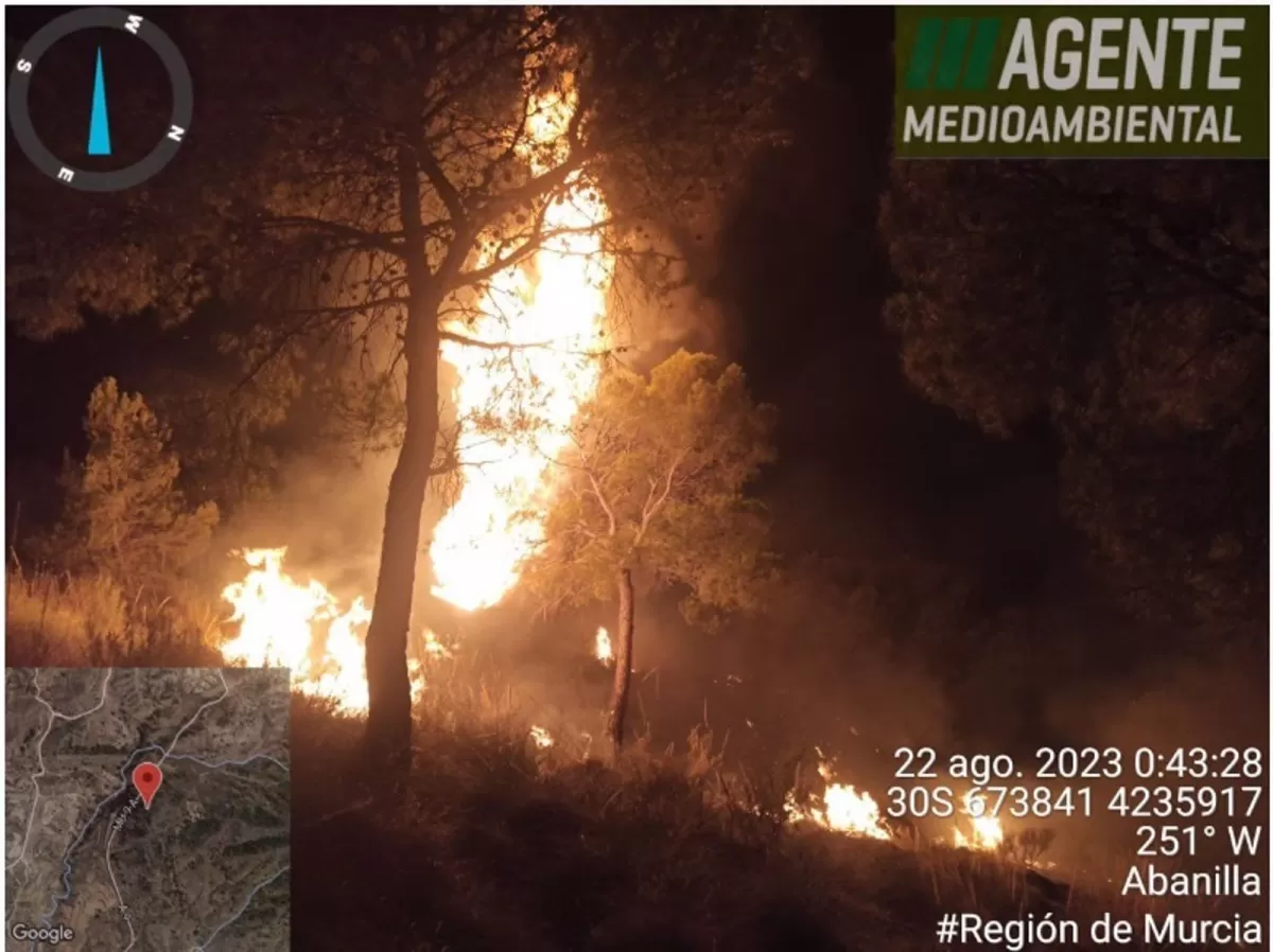 Arden 4.000 m2 de matorral y 20 pinos resultan afectados en un conato de incendio en Abanilla