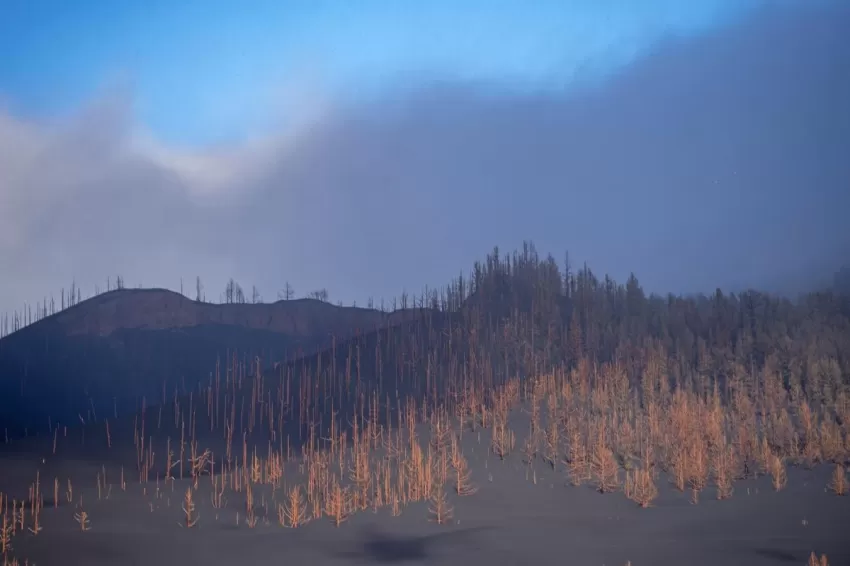 Binter suspende la operativa de vuelos de mañana en La Palma por la nube de ceniza volcánica