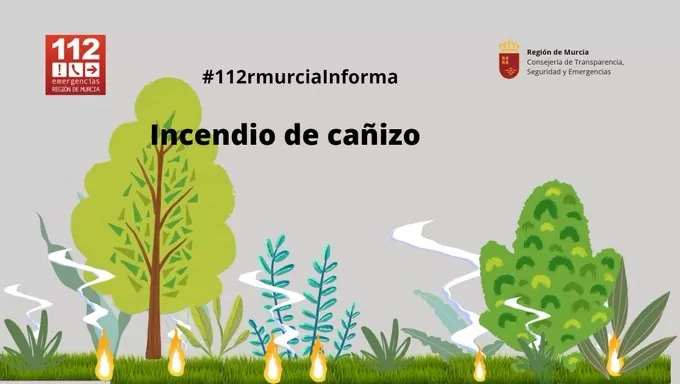 Bomberos extinguen un incendio de cañizo en la pedanía de La Ribera de Molina