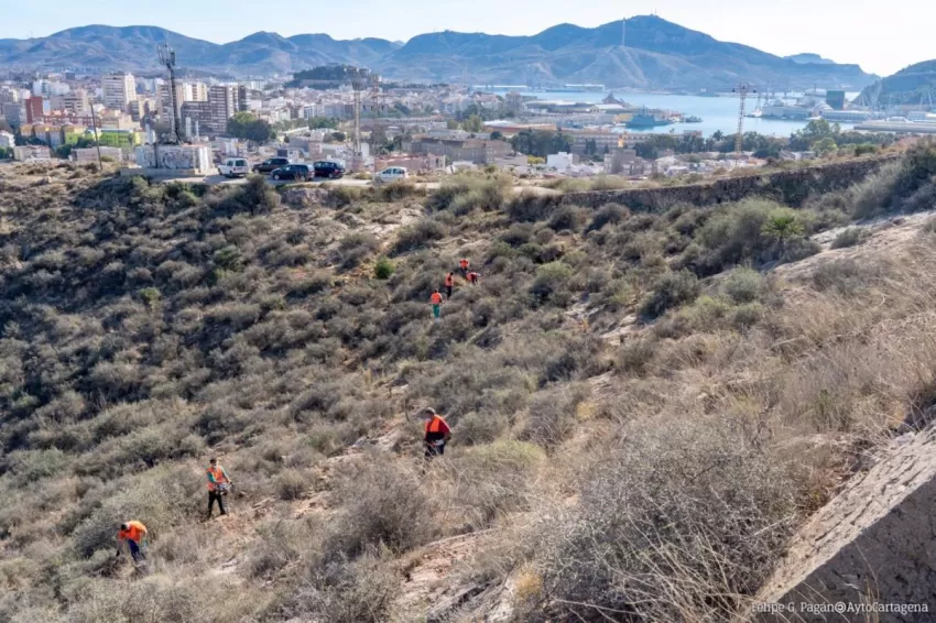 Cartagena presenta un proyecto para reforestar el entorno de La Atalaya