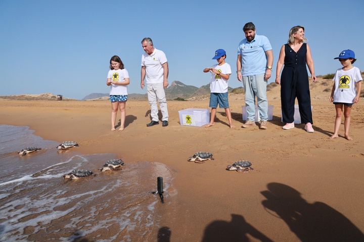 Casi 300 tortugas bobas han sido liberadas en la costa de la Región de Murcia desde 2019
