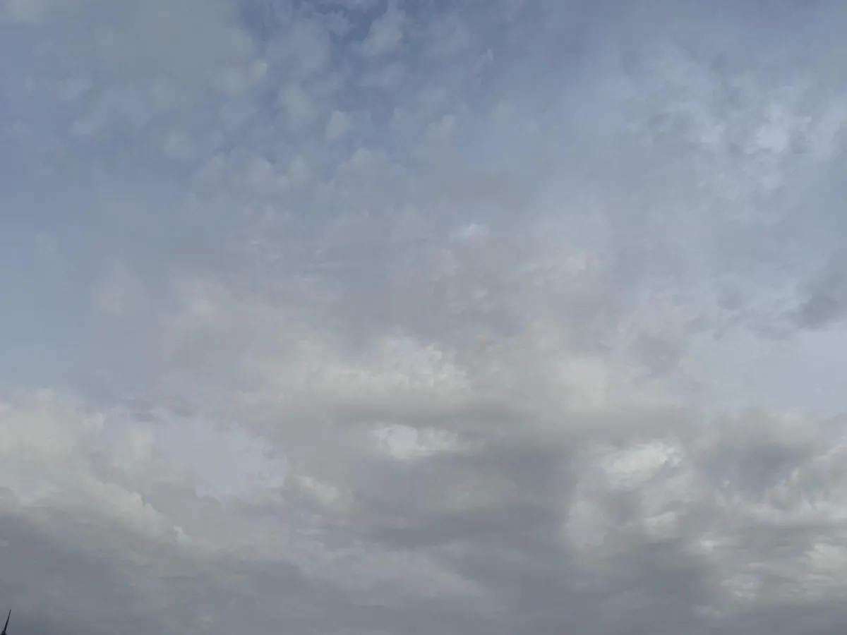 Cielos muy nubosos o cubiertos, con chubascos ocasionales 