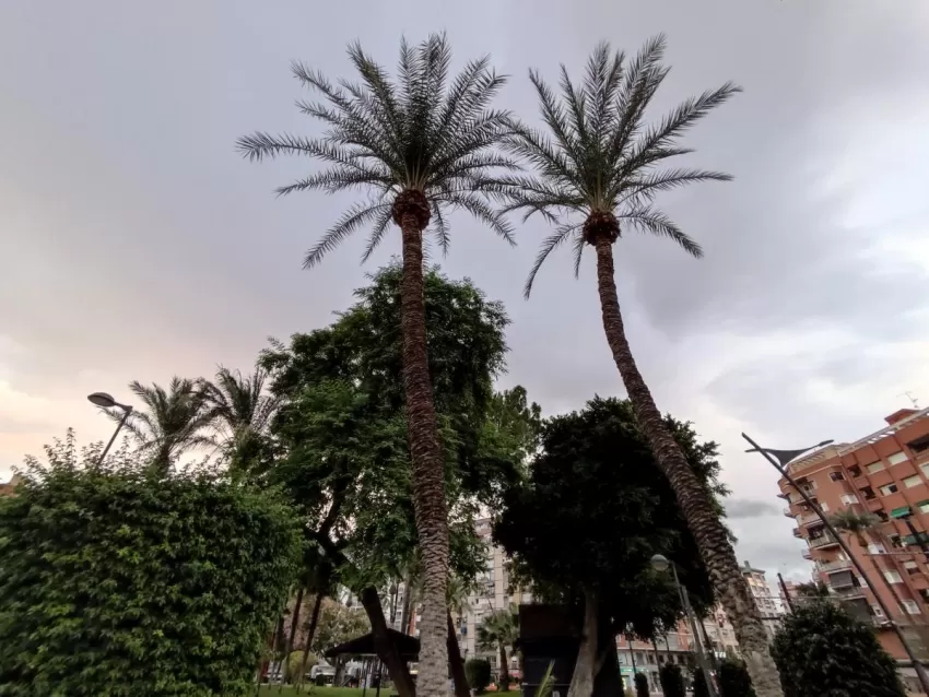 Cielos nubosos o cubiertos con precipitaciones