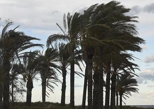 Cielos nubosos y fuertes rachas de viento en zonas altas