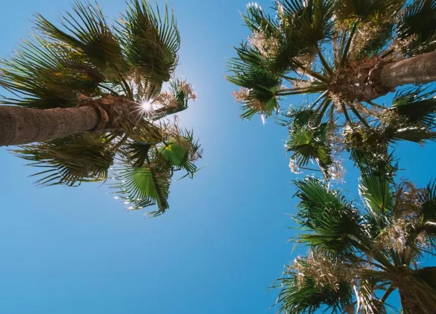 Cielos poco nubosos o despejados y temperaturas sin cambios