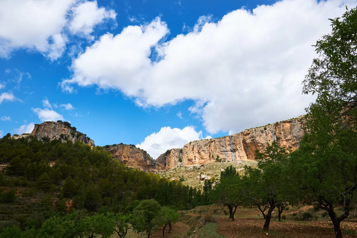 Cielos poco nubosos o despejados. Temperaturas en descenso