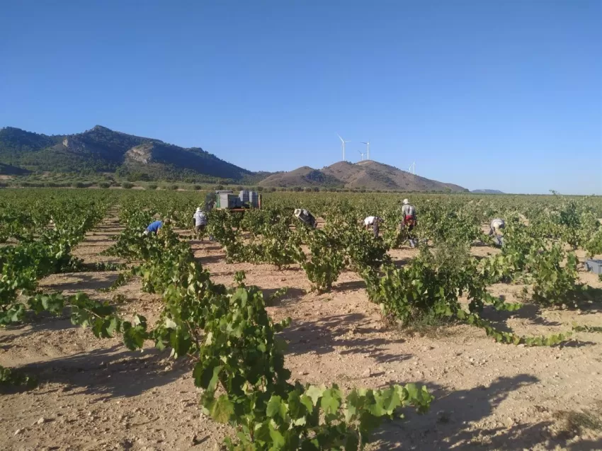 Cielos poco nubosos y temperaturas con ligeros cambios