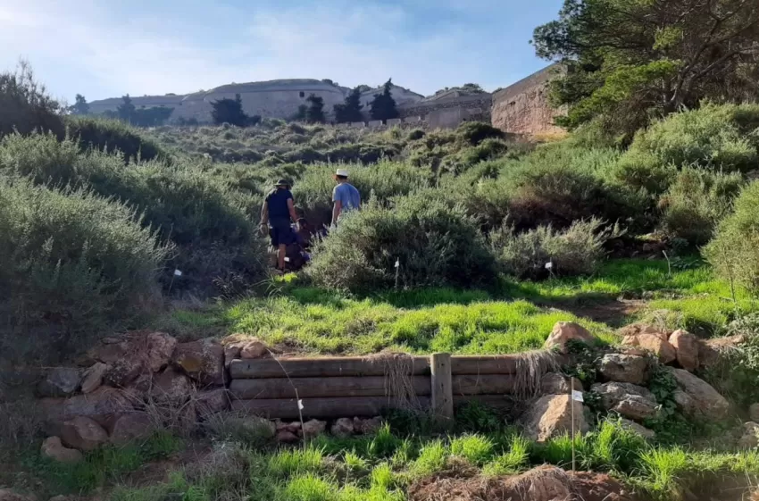 Ciudad Sostenible subvenciona con 10.000 euros seis proyectos de reforestación en el municipio de Cartagena