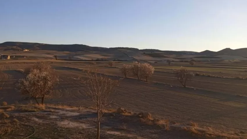 COAG-IR Murcia advierte de la "asfixia" de los cultivos de la Región por la persistencia de la sequía invernal