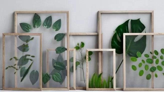 ¿Cómo puedo hacer cuadros con hojas? Una manera entretenida de pasar el tiempo