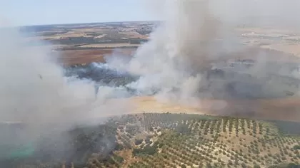 Declarado un incendio forestal en un paraje de Sevilla