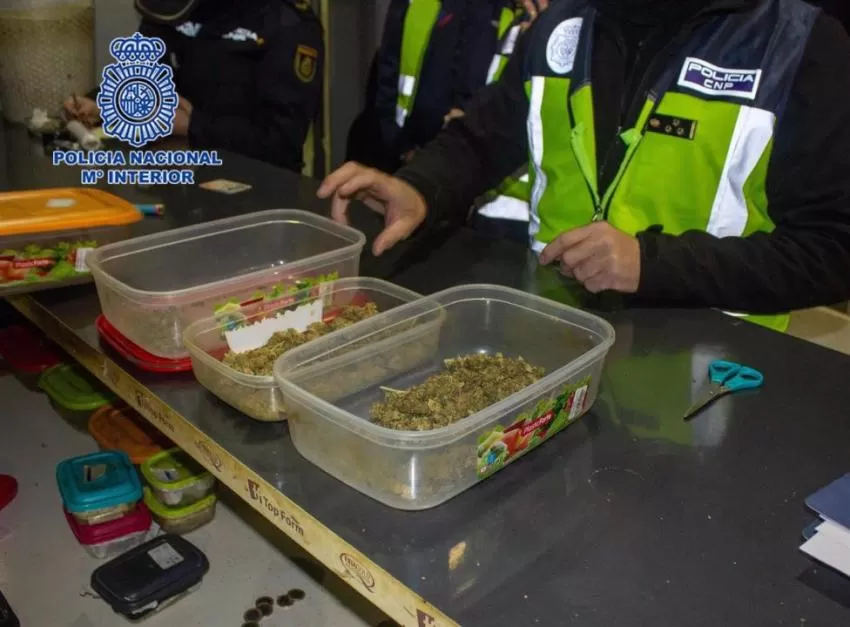 Desmantelan una Asociación Cannábica en Murcia y detienen a siete de sus miembros