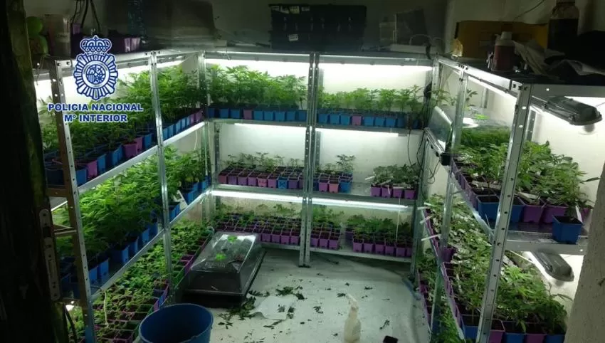 Detenido el dueño de un local por abrir en el estado de alarma