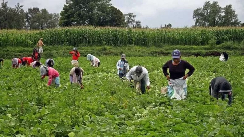 Detenido en Murcia el responsable de una empresa de trabajo temporal por explotación laboral