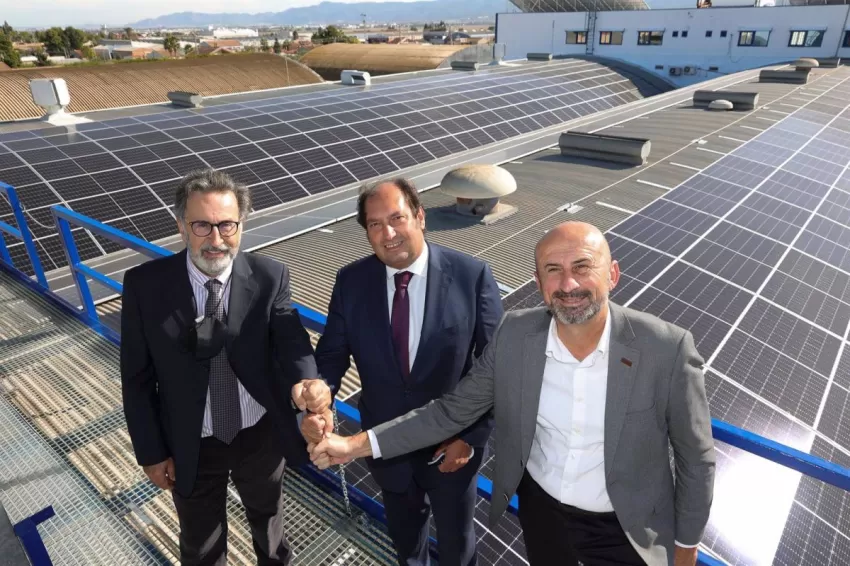 DFM Logística pone en marcha junto con EDP la planta fotovoltaica curva más grande de la Región de Murcia