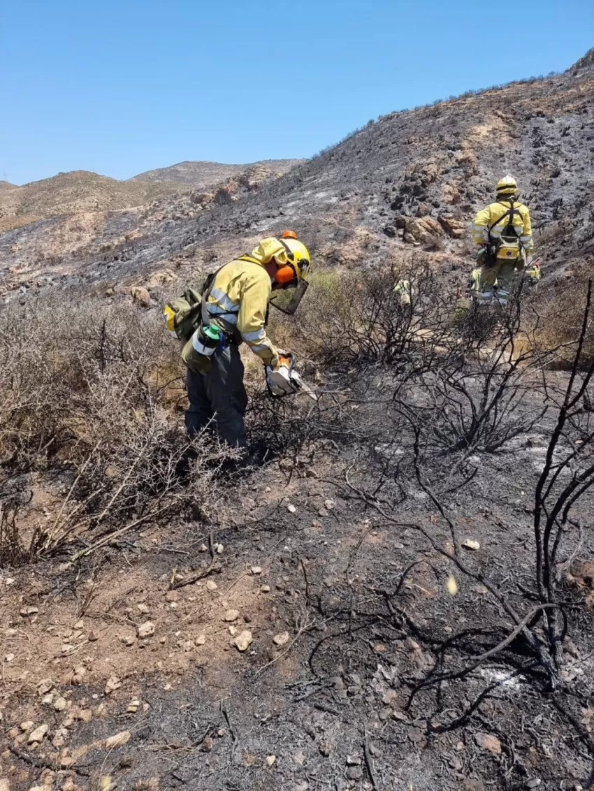 Efectivos del Plan Infomur dan por extinguido el incendio forestal en el Barranco de Orfeo, en Cartagena