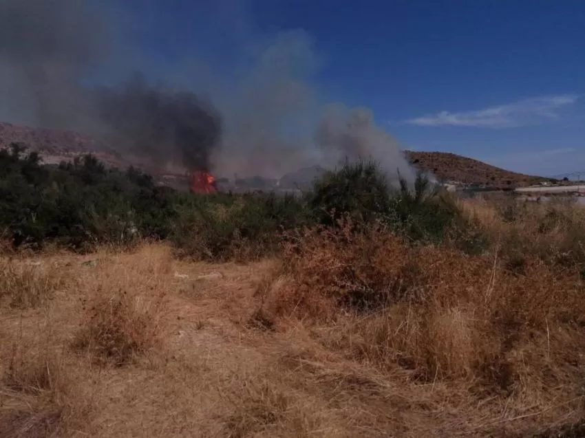 Efectivos del Plan Infomur extinguen un incendio de cultivos abandonados en Mazarrón (Murcia)