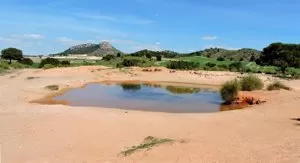 El 50% de la biodiversidad acuática se vería comprometida con la desaparición de las charcas naturales