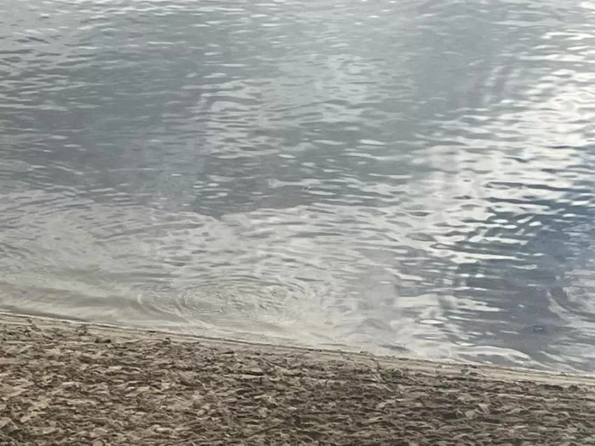 El agua del Mar Menor registra la temperatura más elevada de la serie histórica con 31,25 grados de media