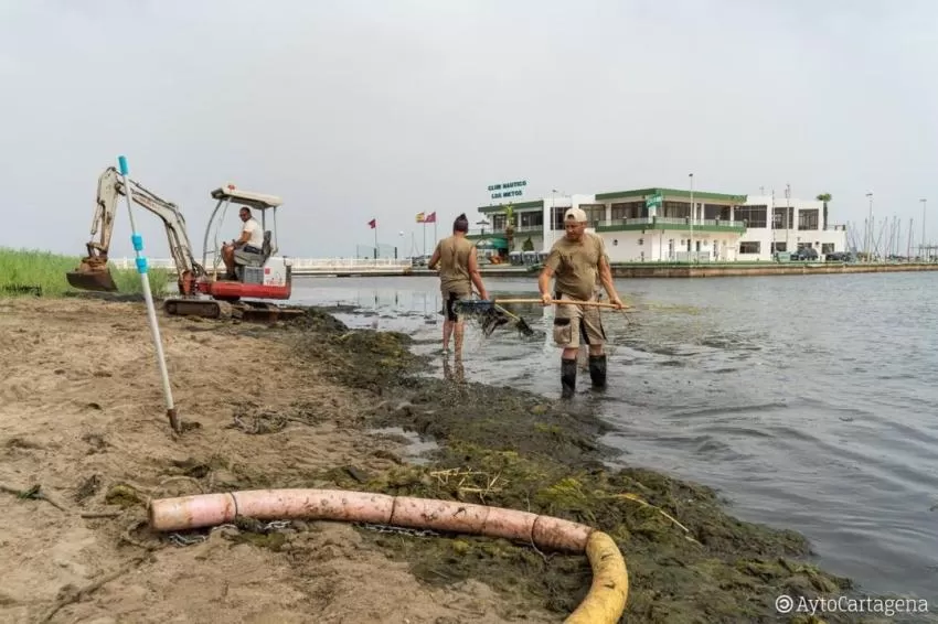 El Ayuntamiento de Cartagena ultima la preparación de las playas para el inicio de la temporada de verano