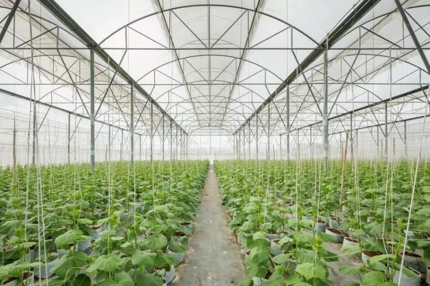 El Ayuntamiento de Lorca informa de las subvenciones a disposición de los agricultores y ganaderos del municipio