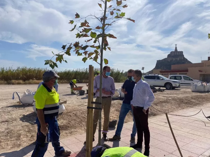 El Ayuntamiento de Murcia instala un novedoso sistema para evitar que las raíces levanten las aceras de las calles