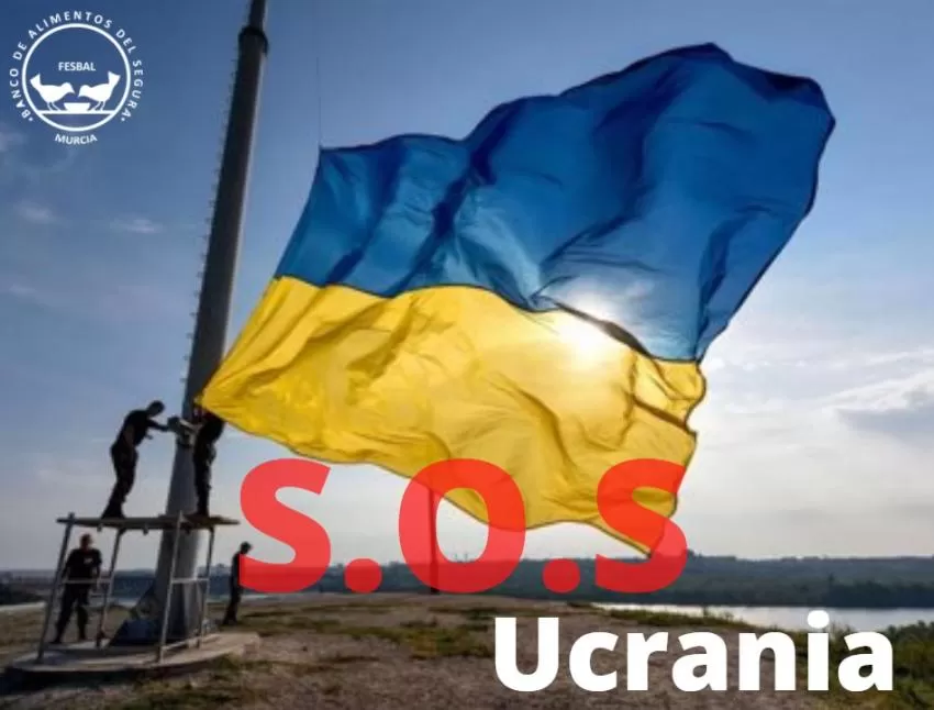 El Banco de Alimentos del Segura y el tejido empresarial murciano aúnan fuerzas para ayudar a Ucrania