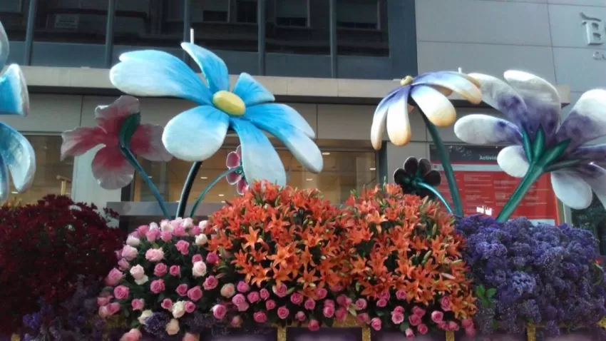 El desfile de la "Batalla de las Flores" tendrá siete carrozas decoradas con motivos murcianos