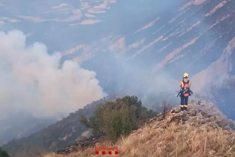 El fuego arrasa ya casi 60.000 hectáreas en seis comunidades autónomas