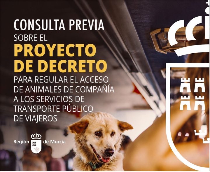 El Gobierno regional inicia la consulta pública para regular el acceso de los animales de compañía al transporte público.