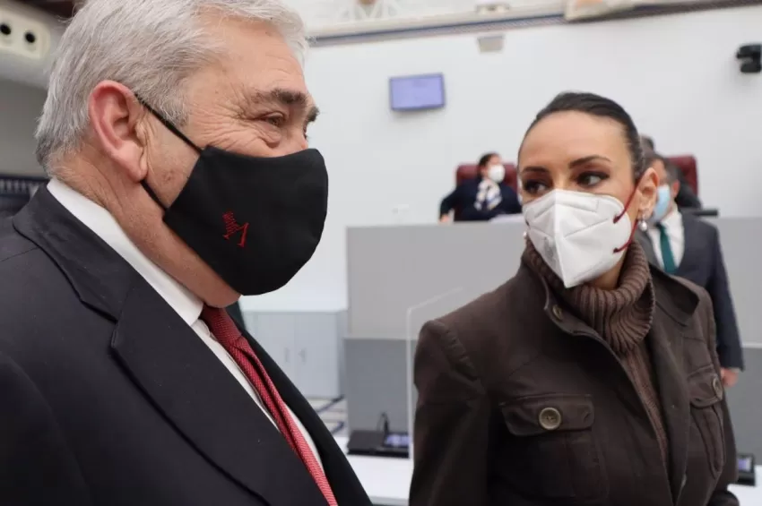 El grupo parlamentario liberal aboga por reforzar la detección precoz de alumnos con necesidades educativas especiales