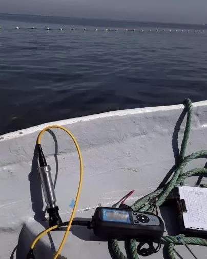 El IMIDA constata niveles de oxígeno "óptimos" en el entorno de la playa de Matas Gordas, en el Mar Menor