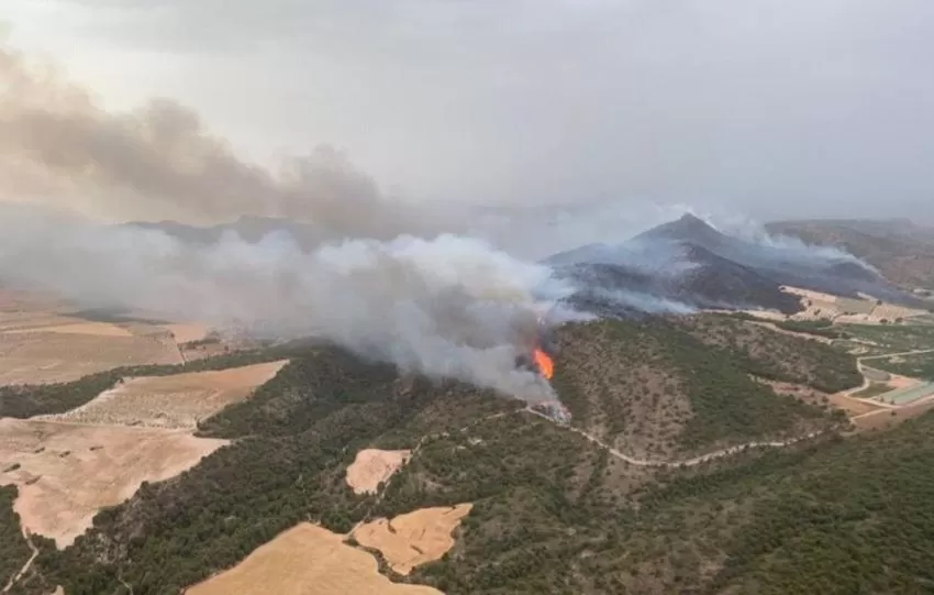 El incendio forestal de Jumilla continúa estable y la CARM espera darlo por extinguido a mediodía