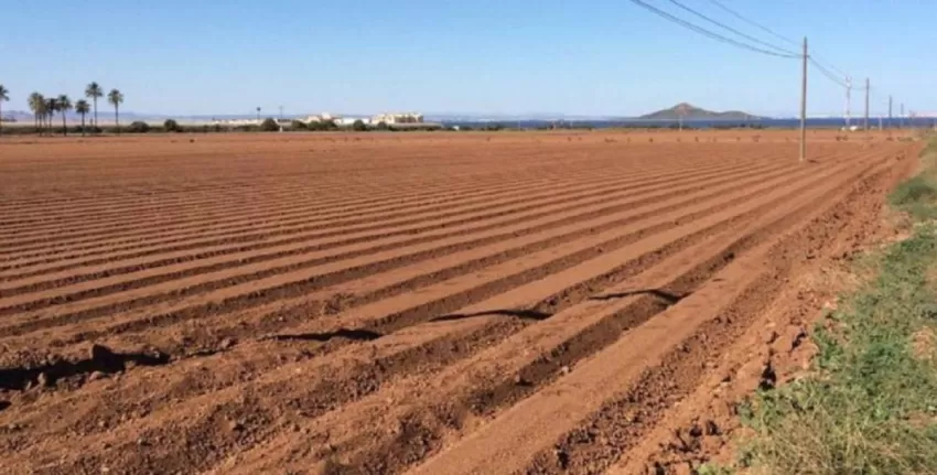 El juez archiva las diligencias del caso Topillo respecto del expresidente de la CHS