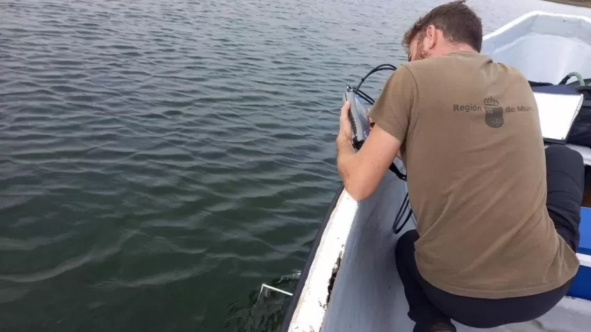El nivel de oxígeno se sitúa en niveles normales en 115 de los 123 puntos analizados este lunes en el Mar Menor
