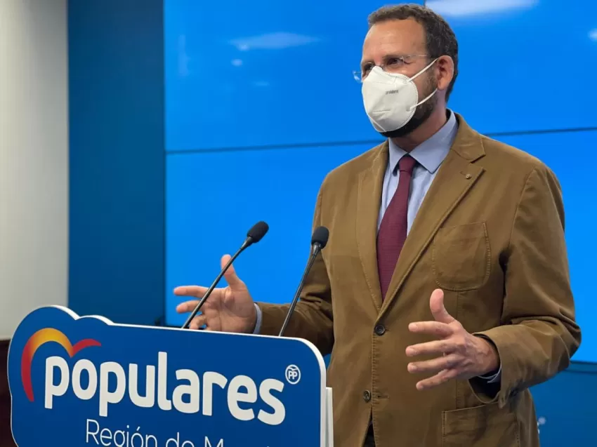El PP de Murcia pide que se abra un expediente por las talas "ilegales" de árboles en el municipio