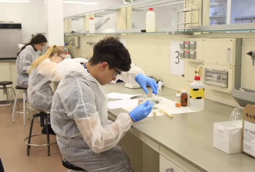 Éxito de participación en las Olimpiadas Científicas de la UCAM