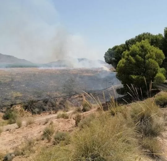 Extinguido un conato de incendio forestal en el Cabezo de La Rosa, en Jumilla
