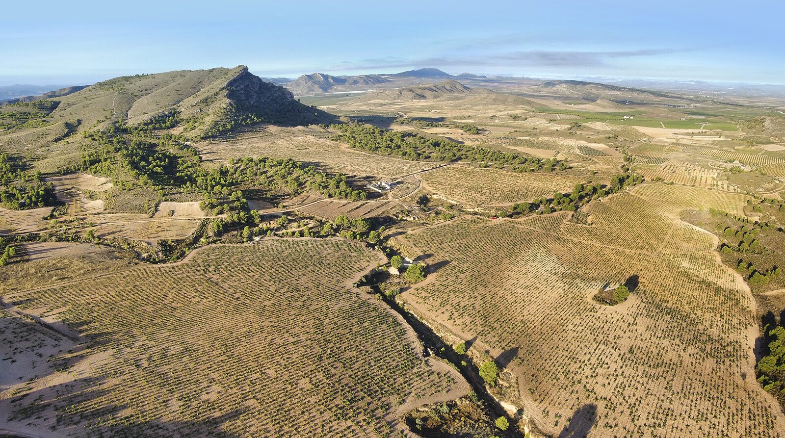 Fiestas de la Vendimia de Jumilla