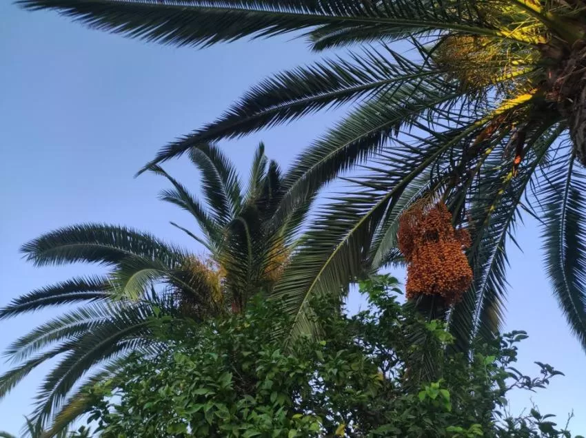 Fin de semana con tiempo soleado y seco, pero con temperaturas frías