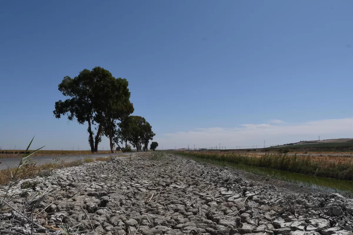 Foro de Economía del Agua pide planificación hidrológica y gestión racional para luchar contra la desertificación