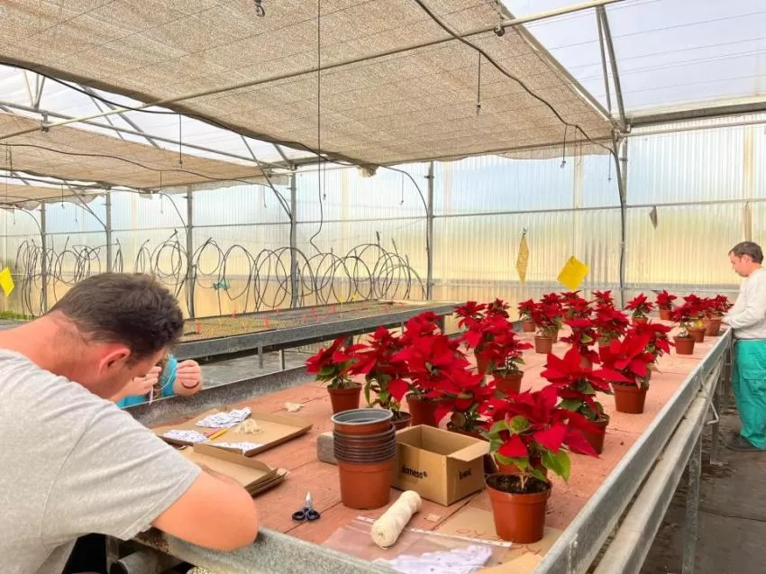 Fundown Plant, un programa para promover la inclusión de las personas con discapacidad