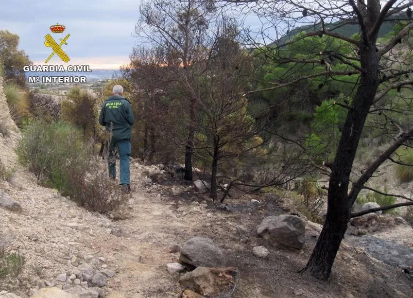 Guardia Civil esclarece un incendio forestal ocurrido en Ojós con la investigación de un agricultor