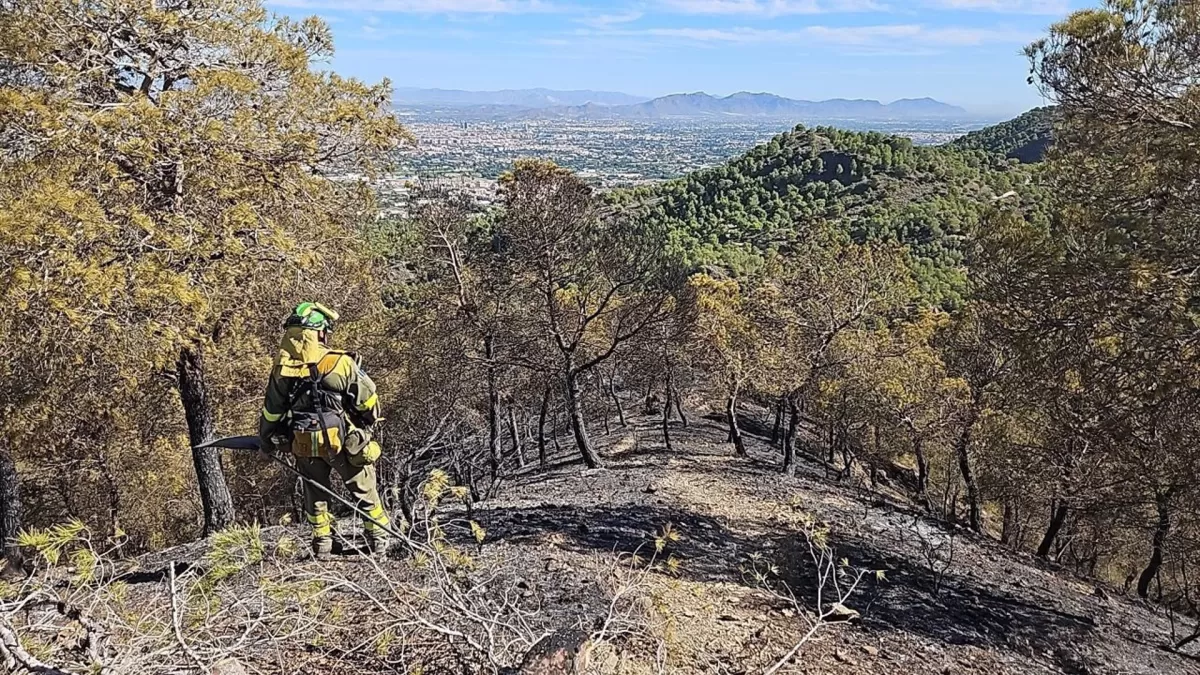 Hallan evidencias de que el incendio en El Valle Perdido fue intencionado