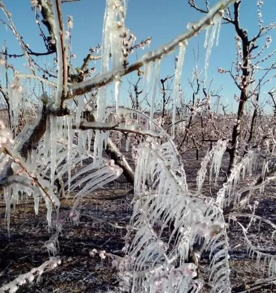 Heladas en el interior de la Región de Murcia