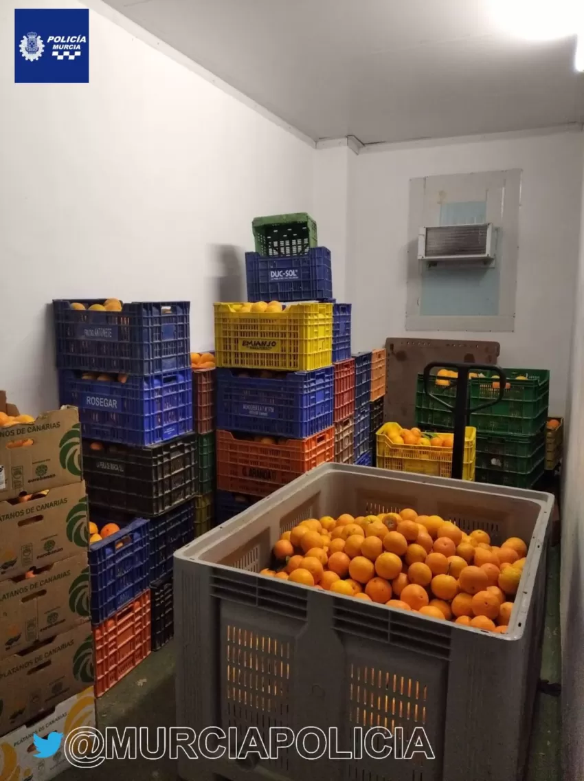 Identificados 4 individuos por el hurto de 1.780 kilogramos de naranjas en la pedanía murciana de El Puntal