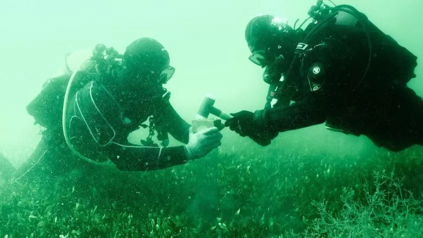 Investigadores de la UPCT y del ICTA-UAB analizan las consecuencias de la presión humana en el Mar Menor